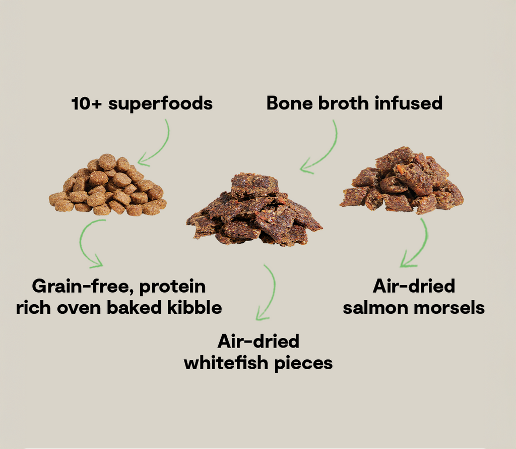 Epic Blend Salmon & Superfood Grain-Free Dog Kibble