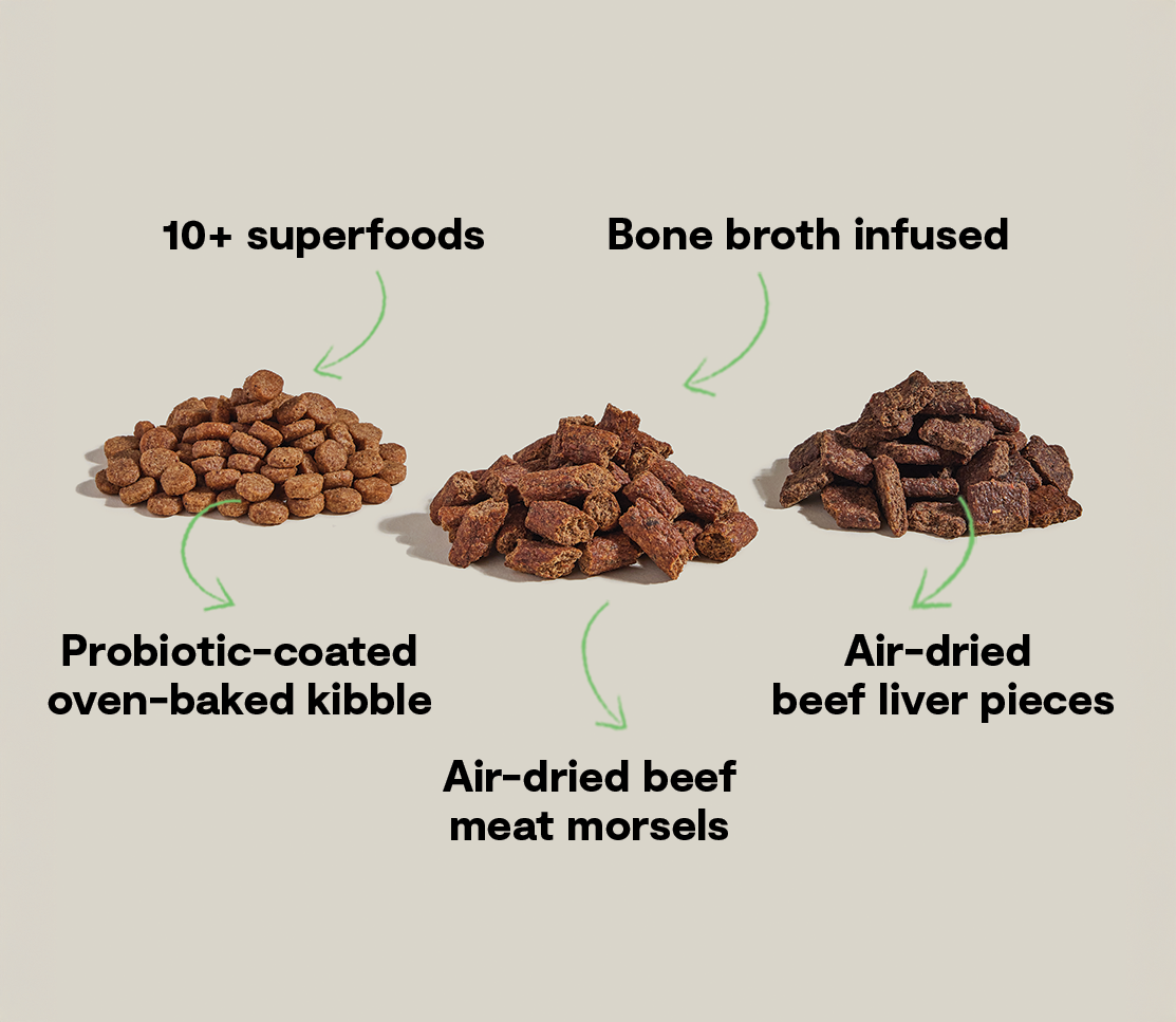 Epic Blend Beef & Superfood Dry Dog Food
