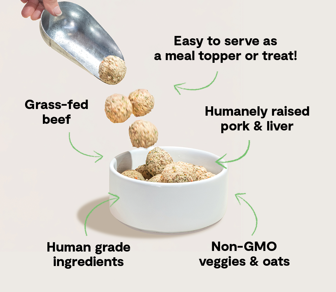Grass-Fed Beef & Pork Freshly Crafted Meatballs for Dogs