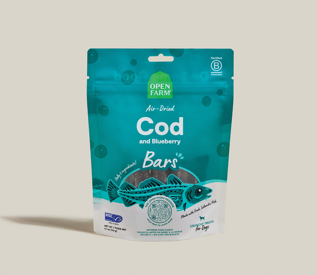Icelandic Air-Dried Cod & Blueberry Dog Treat Bars