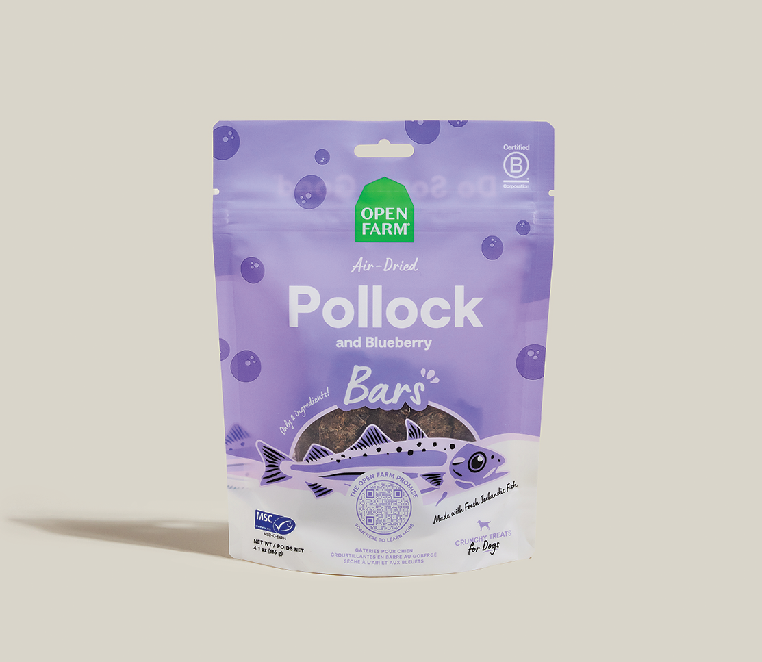 Icelandic Air-Dried Pollock & Blueberry Dog Treat Bars