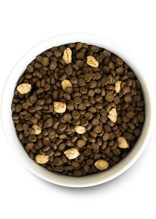 Feline RawMix Plus Bundle
