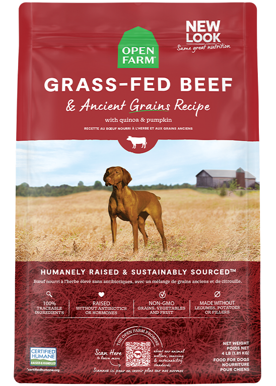Grass-Fed Beef & Ancient Grains Dog Kibble