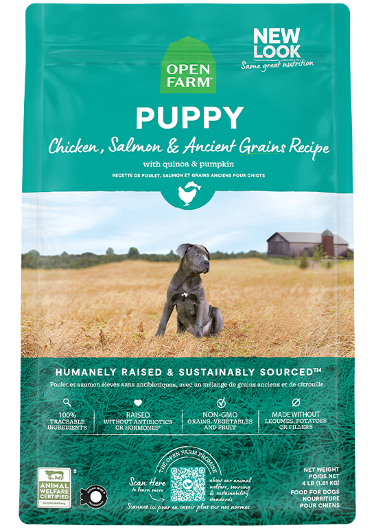 Chicken & Salmon Ancient Grains Puppy Kibble