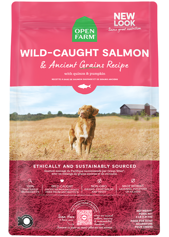 Wild-Caught Salmon & Ancient Grains Dog Kibble
