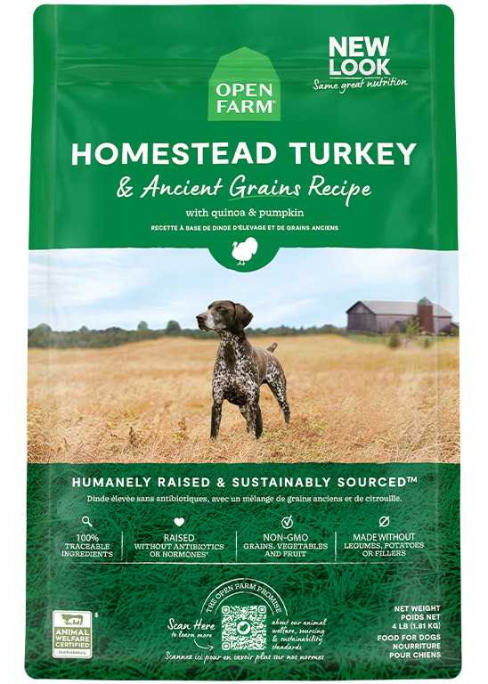 Homestead Turkey & Ancient Grains Dog Kibble