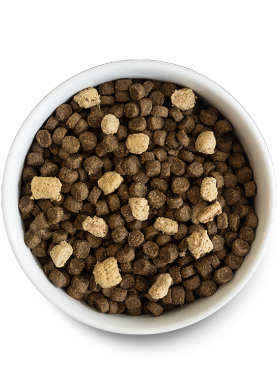 RawMix Plus Bundle for Dogs