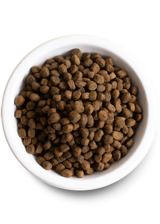 Grass-Fed Goodness Bundle