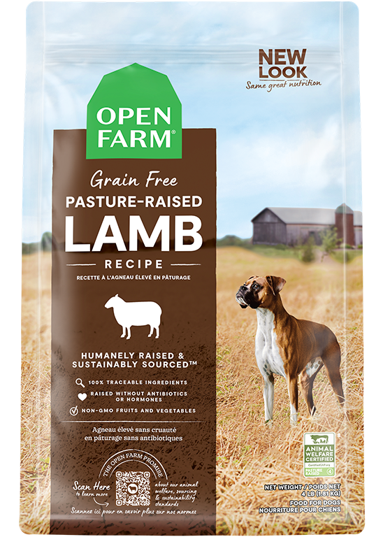 Pasture-Raised Lamb Grain-Free Dog Kibble