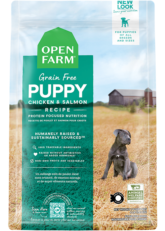 Puppy Essentials Pack