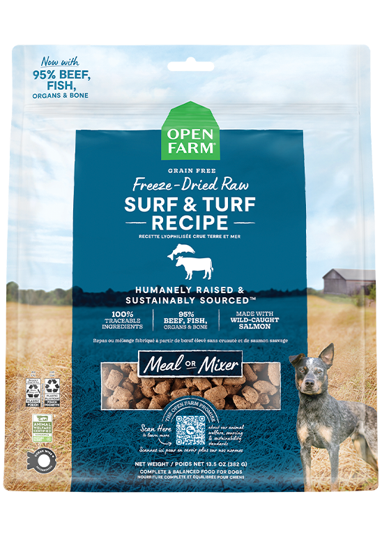 Ancient Grains Puppy Pack