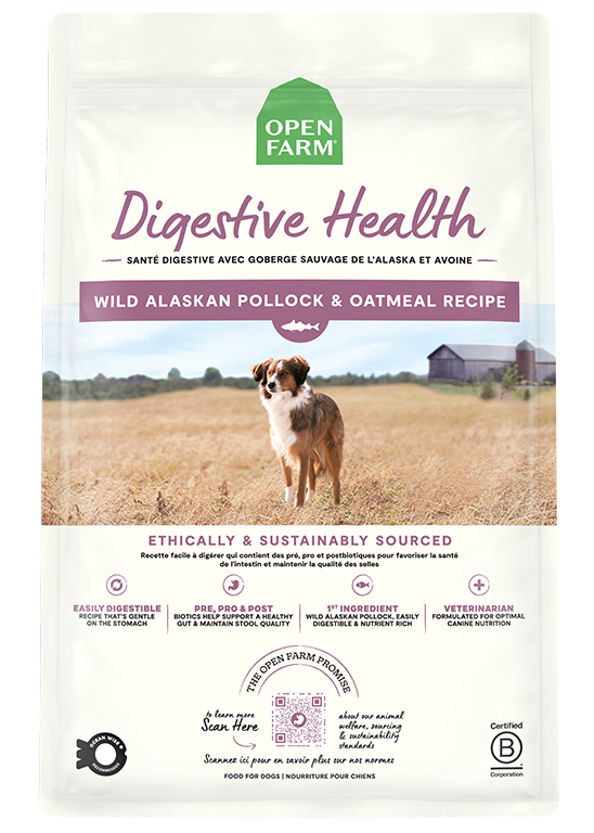 Pollock & Oatmeal Digestive Health Dog Kibble