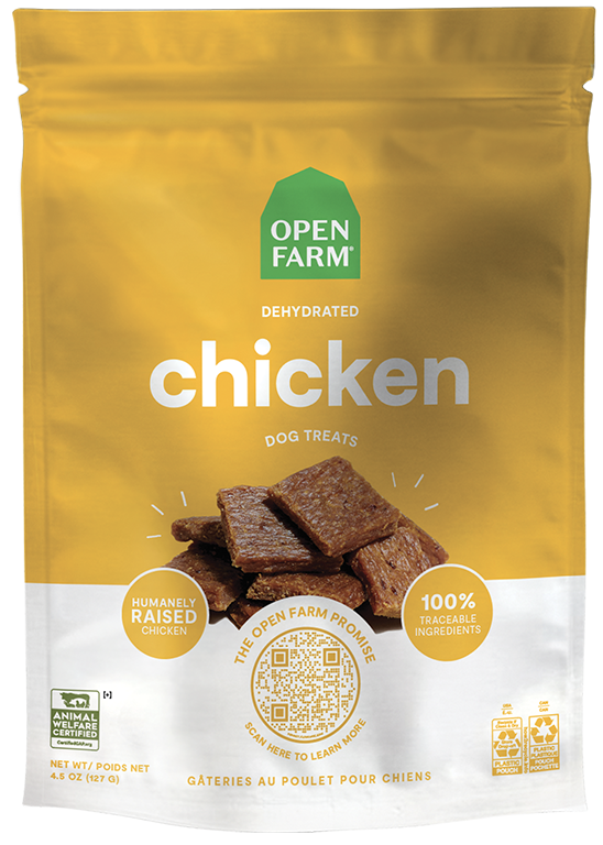 Puppy Essentials Pack