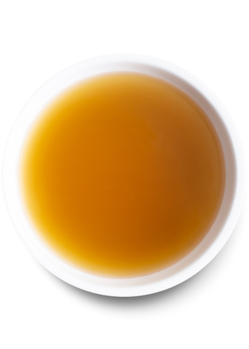 Bone Broth Plus Bundle for Dogs
