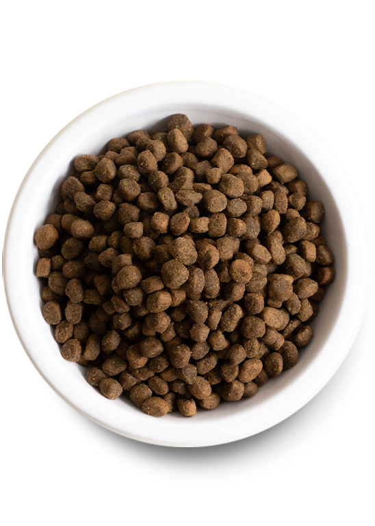 Puppy Essentials Pack