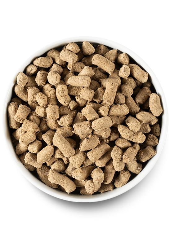 Puppy Essentials Pack
