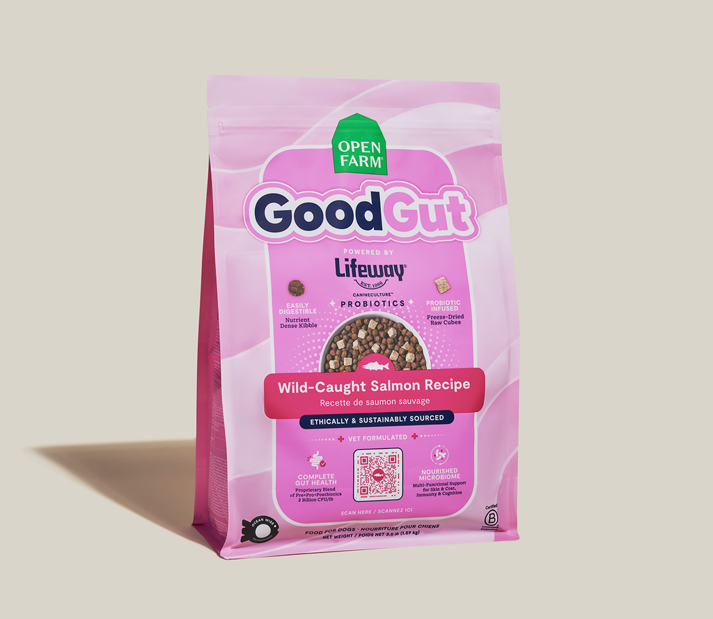 GoodGut Wild-Caught Salmon Dog Kibble