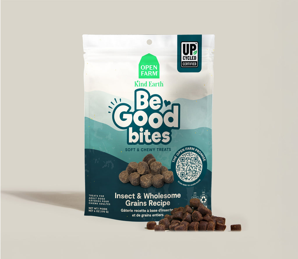 Be Good Bites Insect & Wholesome Grain Treats