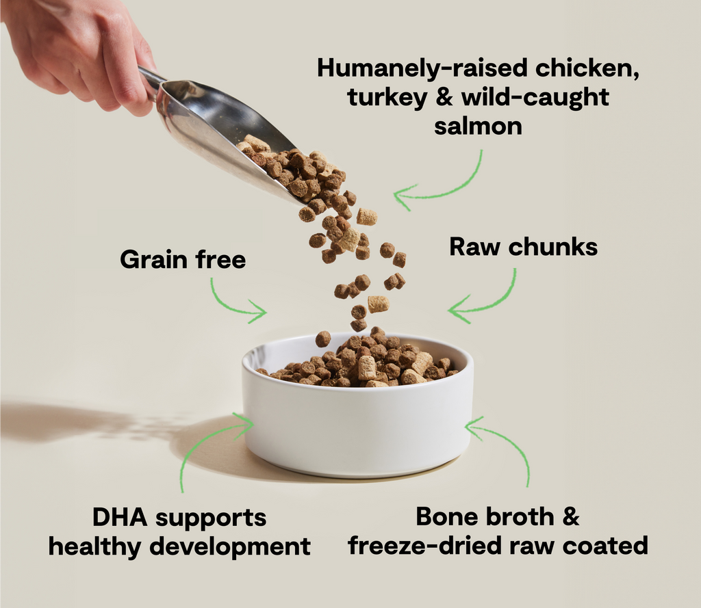 RawMix Grain-Free Kitten Kibble